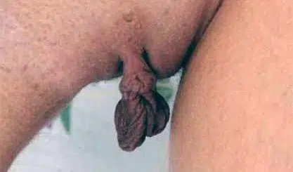Pissfotze sucht ausgiebigen Lecker
